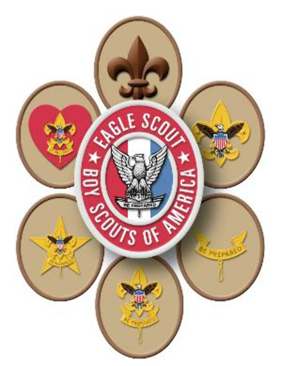 Scout ranks